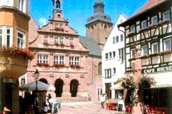 Landgasthof-Pension Limbacher Mühle - Περιβάλλοντα