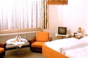 Landgasthof-Pension Limbacher Mühle - Ελεύθερος χρόνος