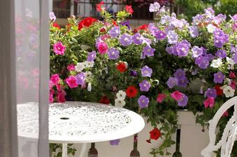 Hotel Maison Suisse Karlsruhe - Μπαλκόνι