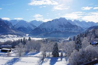 Ferienwohnungen W&ouml;rz - Surrounding area