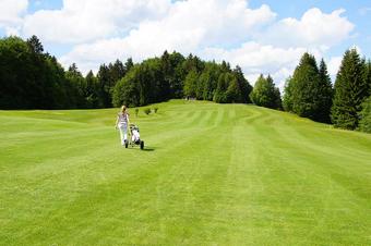 Ferienwohnungen W&ouml;rz - Surrounding area
