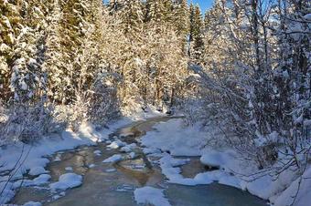 Panorama-Hotel Kaserer - Μπαρ
