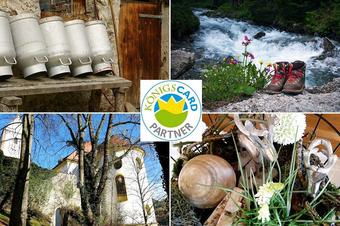 Pension Wei&szlig;er Hirsch - Umgebung