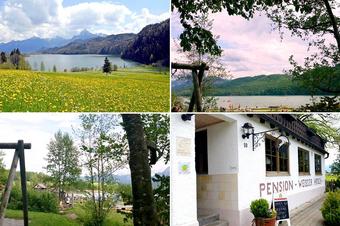 Pension Wei&szlig;er Hirsch - Umgebung