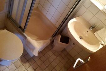 Pension Wei&szlig;er Hirsch - Bad