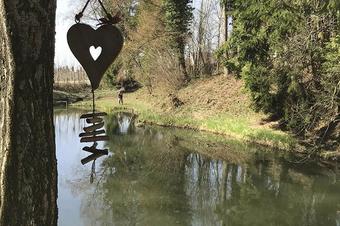 Gästehaus Erath - Dārzs