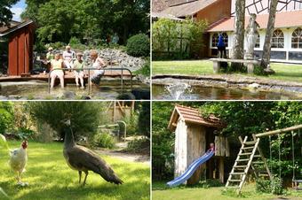 Hotel Ebner - κήπος