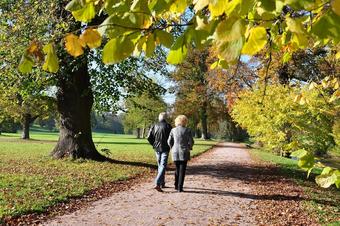 Pension Lindenhof - Rekreasjon