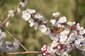 Pension Gästehaus Model - Omgeving