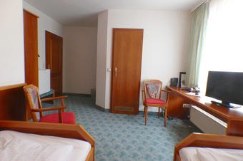 Hotel & Metzgerei See - Chambre