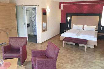 Burg-Hotel Obermoschel - Room