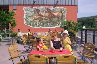 Rhöngasthof Zur Linde & Ferien-Appartements Rhönsicht - Βεραντα