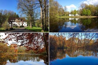 Hotel Wintersm&uuml;hle - &Ccedil;evre