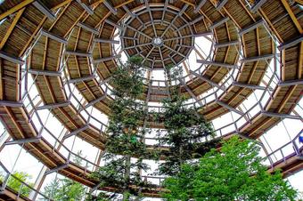 Ferienwohnungen Ferienanlage Am Nationalpark - Vide