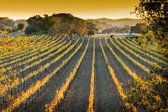 Hotel & Landgasthof Rose - Umgebung
