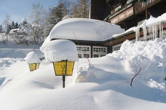 Hotel Adler B&auml;rental - Bah&ccedil;e