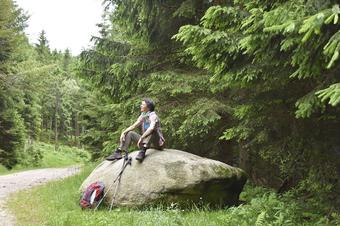 Bauernhof Wäldebauernhof - Loisir