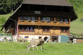 Bauernhof Wäldebauernhof - Vista exterior