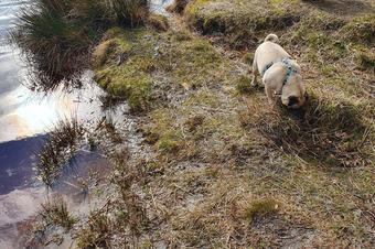 Heidehotel Anna - Arredores