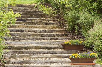 ausZEIT Ihr Sibyllenbad-Gästehaus - Garden