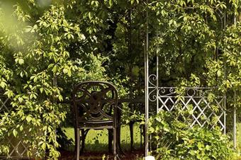 ausZEIT Ihr Sibyllenbad-Gästehaus - Garden