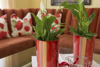 ausZEIT Ihr Sibyllenbad-Gästehaus - Room