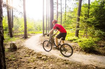 Gasthof-Pension Sommer - Lazer