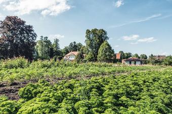 Hotel Schlossgut Oberambach - κήπος