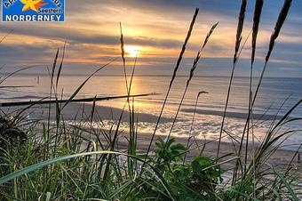 Fewo Haus Seestern - Omkringliggende område