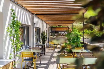 Gengs Linde - Terrace