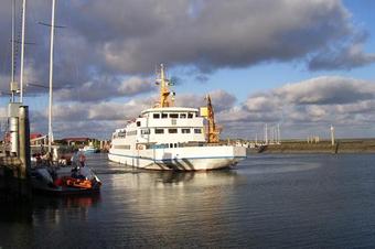 Fewos Haus am Wäldchen - Umgebung