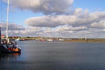 Fewos Haus am Wäldchen - Umgebung