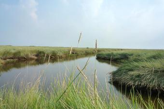 Fewos Haus am Wäldchen - Umgebung