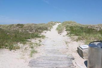 Fewos Haus am Wäldchen - Umgebung