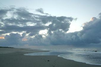 Fewos Haus am Wäldchen - Umgebung