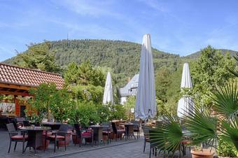 Hotel Zum Alten Wasserrad - Beer Garden
