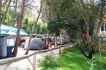 Campeggio La Pineta Camping Bungalows - Giardino