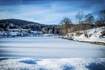 Hotel Der Seehof - Περιβάλλοντα