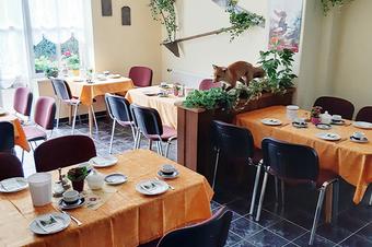 Pension Königshof - Breakfast room