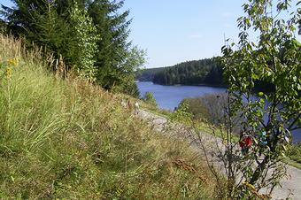 Pension K&ouml;nigshof - Umgebung