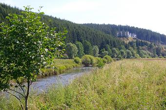 Pension K&ouml;nigshof - Umgebung