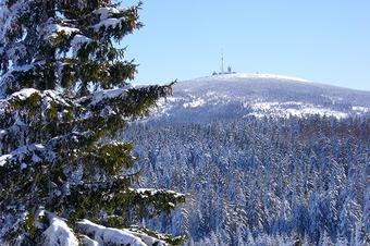 Pension K&ouml;nigshof - Umgebung