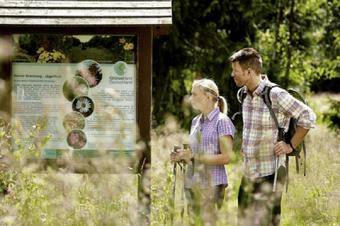 Harz Hotel Iris - 레크리에이션