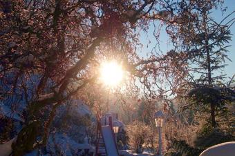 Landhotel Gasthof Pingel - Περιβάλλοντα