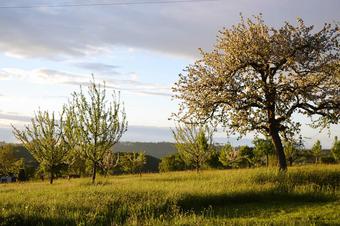 Gasthaus Heidhof - Umgebung
