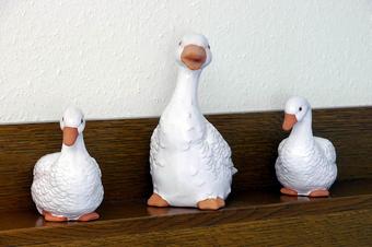 Gasthaus Heidhof - Zimmer