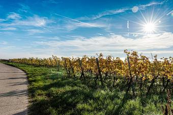 Tacheles Landrestaurant und G&auml;stehaus Schmitt - Umgebung
