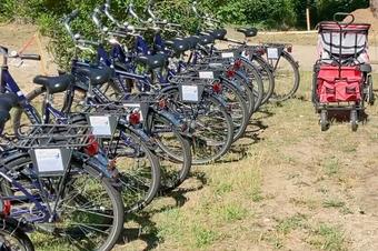 Pension Stechlinsee - Balcony