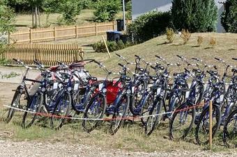 Pension Stechlinsee - Sports