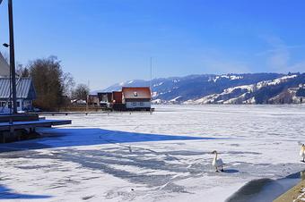 Ferienwohnungen am Schlossberg - Περιβάλλοντα